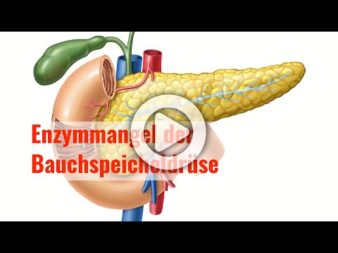 Enzymmangel der Bauchspeicheldrüse - Verdauungsschwäche des Pankreas  erkennen