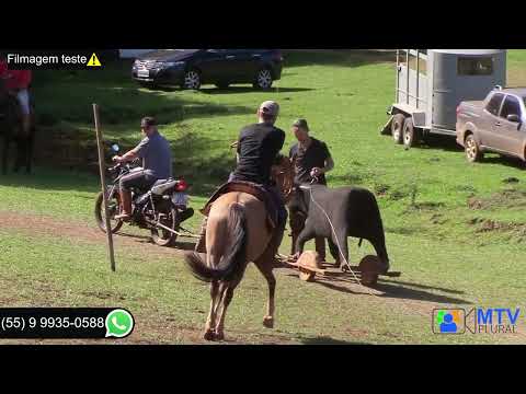 MTV Plural - Parador - Cancha do General - vaca mecânica - Celoir Bueno - Dionatan Pezzeta - Ijuí