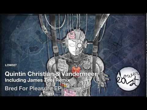 Quintin Christian, Vandermeer  - Trouble In Paradise (Original Mix)