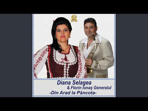 Din Arad La Pancota (Un fecior mi-as cauta)