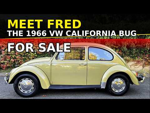 1966 Volkswagen Beetle (CC-2018126) for sale in SONOMA, California