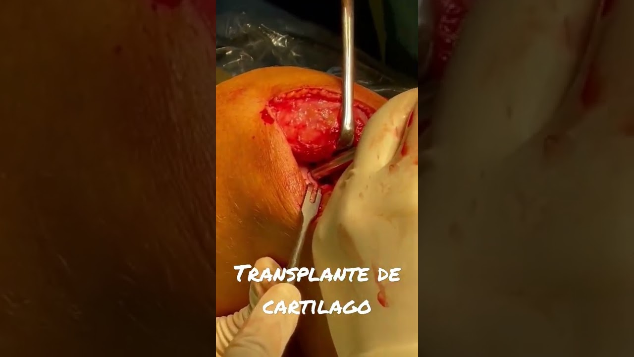 Alejandro Oros Estrada-22