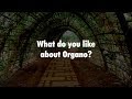 What Do You Like Most About Organo