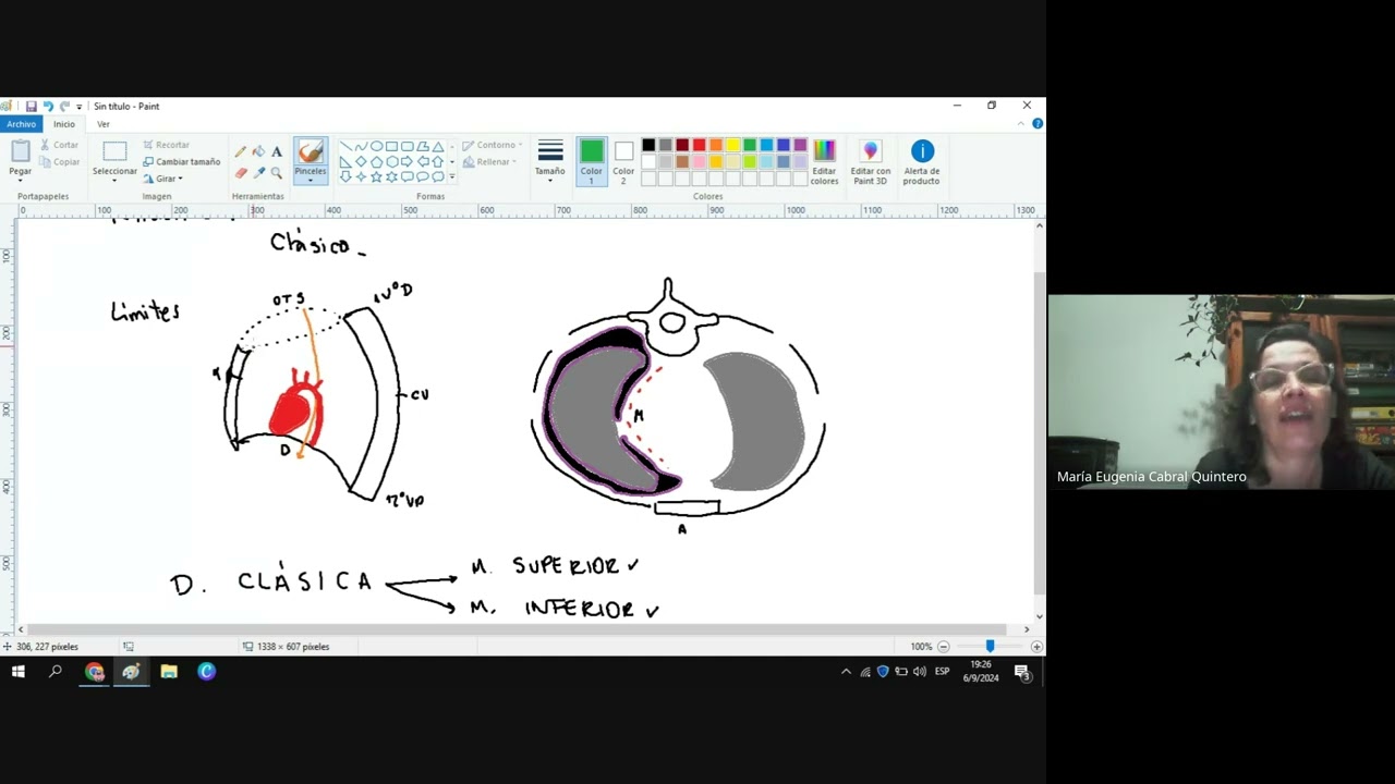CURSO ANATOMIAXESQUEMAS - 5ta Clase - Mediastino - Prof Eugenia Cabral