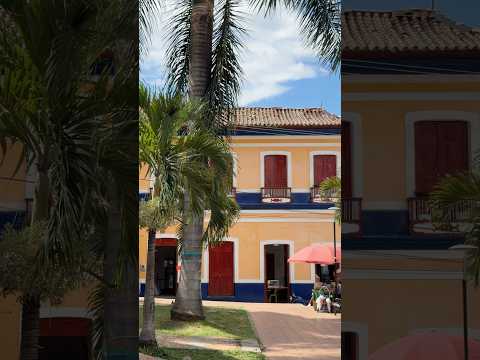 Municipio Cuna del Café en Colombia #salazardelaspalmas #nortedesantander #colombia #cafedecolombia