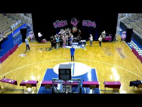 IX. Főnix kupa LIVE  2019.10.26. 12:30-tól