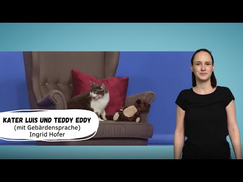🧏🏼‍♂️  Kater Luis und Teddy Eddy (mit Gebärdensprache) | Kinderlieder zum Mitsingen und Bewegen