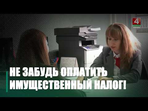 Имущественный налог: до какого числа нужно успеть заплатить