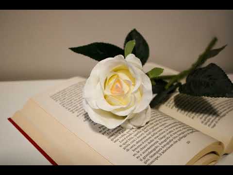 Aprinde Doamne focul Sfânt, pe-altarul vieții mele - versuri Valentin Popovici/poezie creștină