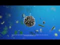 Lysol Air Sanitizer Kills 99 9 Of Airborne Viruses And Bacteria