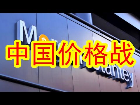 【投行深度研判】 2025年，接下来下一步的，中国价格战！！未来到底会怎么样？#中国经济 下一步市场到底怎么去看待？#摩根士丹利