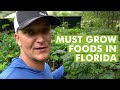 10 Top Plants For A Food Garden In Subtropical Climates Florida Gardening