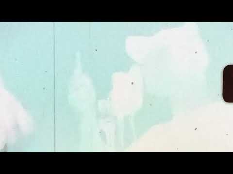 Mlin & Oet - Tega se ne govori ft. Ezra (Visualizer)