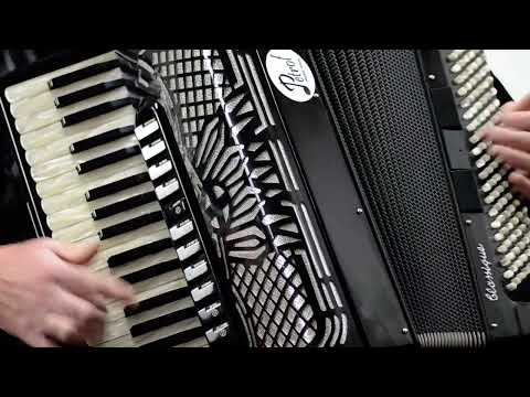 Immagine S.E.M Recanati “Piermaria Classique” Cassotto Accordion 120 Bass (41 Keys, LMMM) – Case, Brand New Straps, Musette – Certified + Video - 18