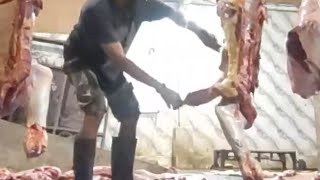 Download lagu 🔴 Live » Tukang jagal bukan tukang abal abal...!!! mp3