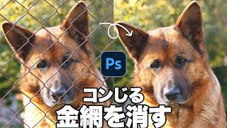 【Photoshop講座】金網をなかったように消す方法【2021】