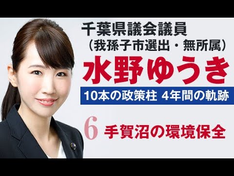 国際関係学科 千葉県議会議員水野ゆうき 10本の政策【6】手賀沼の環境保全～手賀沼本来の美しさを取り戻す～