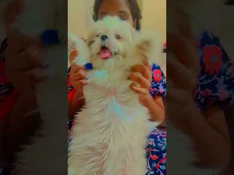 soo cute ✨🎀🤩💫🎀#cute#dance💫🎀🤩✨