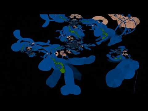 Abraxas ft. Kloid - NosTraerá NostraEra