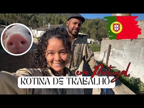 Rotina de trabalho no  campo em PORTUGAL: Sonho ou ILUSÃO?