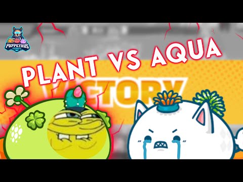 The immortal power of healing | Triple plant gameplay | Axie Infinity