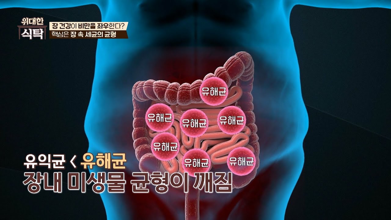 [위대한 식탁] ​​합병증을 유발하는 비만 어떻게 치료할 수 있을까?