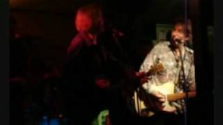 Steve Wynn Plays Dylan