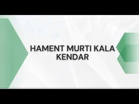 About Hament Murti Kala Kendar