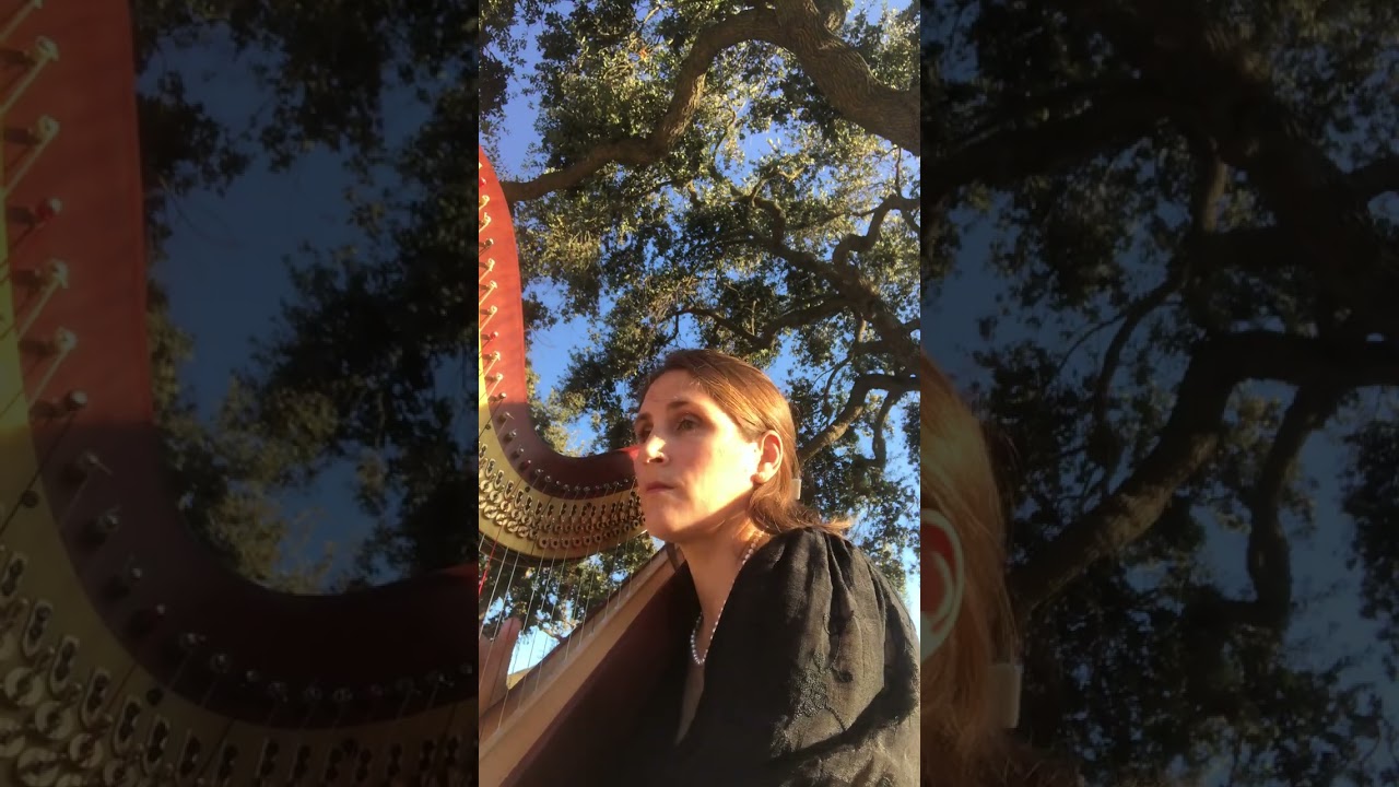 Promotional video thumbnail 4 for Harp by Anna