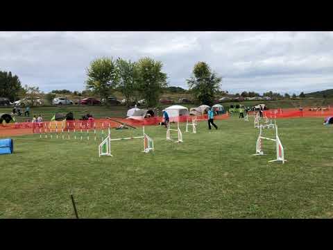 2019.09.28. Matula Laci & Future Hope Don't Stop Doris