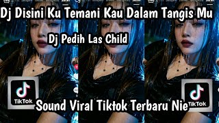 Download lagu DJ DISINI KU TEMANI KAU DALAM TANGISMU DJ PEDIH LAS CHILD SOUND VIRAL TIKTOK TERBARU NIE mp3 Download lagu DJ DISINI KU TEMANI KAU DALAM TANGISMU DJ PEDIH LAS CHILD SOUND VIRAL TIKTOK TERBARU NIE mp3