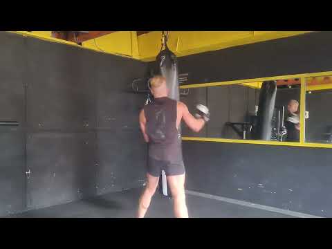 Spring Cut Day 8 Back and Biceps Workout