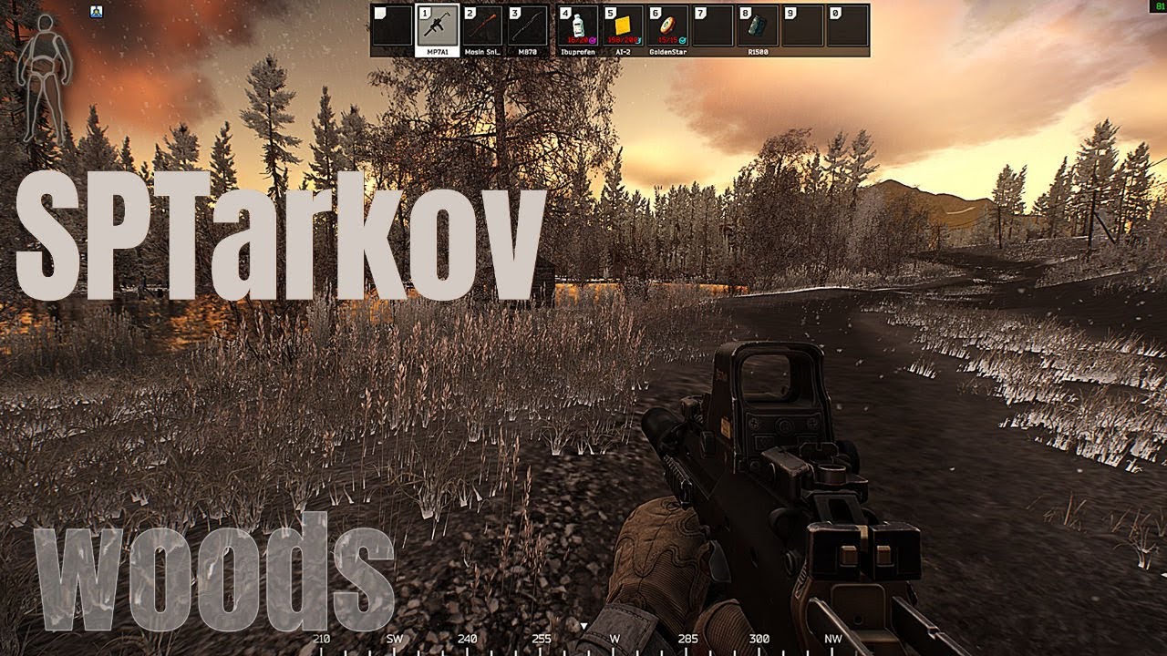 SPTarkov - Woods - Lost in its beauty again
