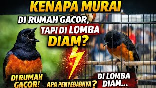 Download lagu Murai Gacor di Rumah Tapi Diam di Gantangan? Ini Penyebab dan Solusinya! mp3