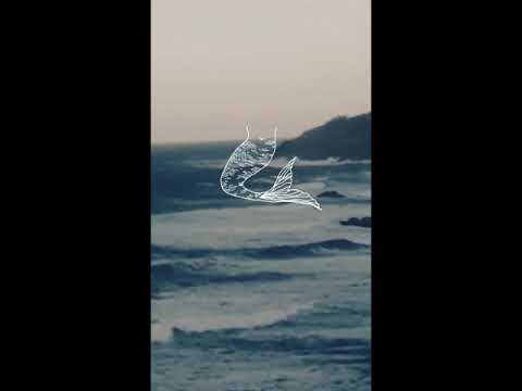 Sirens (Visualiser) - Seph Cove