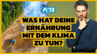 Klimawandel: wie die Tierindustrie die Umwelt zerstört!