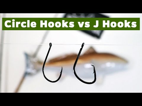 Circle Hooks vs. J Hooks: When To Use Each Hook When Fishing With Live Or Cut Bait