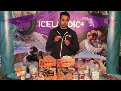 download lagu mp3 mp4 Icelandic Lamb Horn Marrow, download lagu Icelandic Lamb Horn Marrow gratis, unduh video klip Icelandic Lamb Horn Marrow