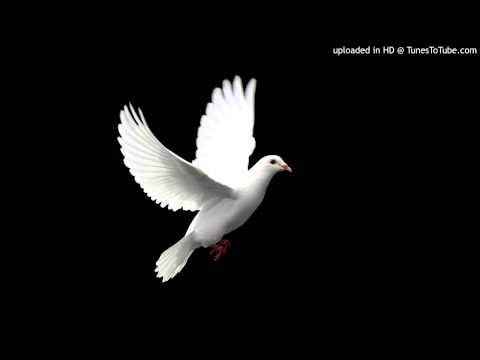 Transonic - White Dove