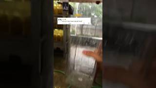 Download lagu Can Betta Fish Really Use Rainwater? mp3