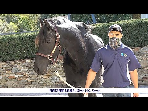 A Day in the Life of Ubert 390, Sport at Iron Spring Farm