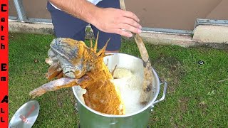 FRYING 5ft. IGUANA WHOLE! **Cold Iguanas are Adapting to Cold Weather**