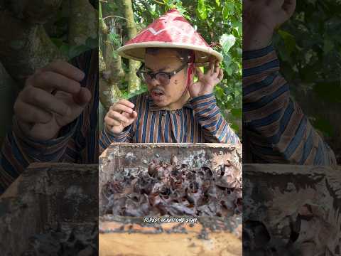 ASMR Drinking Wild Stingless Bee Honey Pots - 31 🍯🐝 #shorts