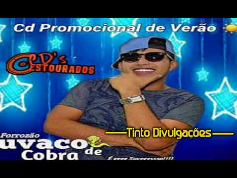 FORROZAO SUVACO DE COBRA 2018