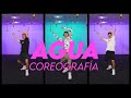 AGUA - J Balvin Coreografía de Alex Chentov | Ozone Dance