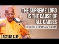 The Supreme Lord Is The Cause Of All Causes HH Gopal Krishna Goswami