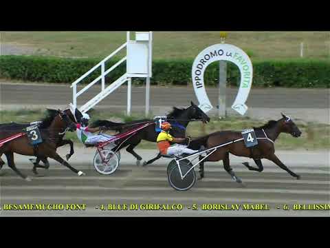 IV Corsa   Premio Campioni del mondo del 30 Giugno 2021   4 Anni Gara Centrale