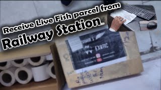 🔶How to receive Live Fish Parcel for Railway 🚂 station |Aquarium Fish ✅