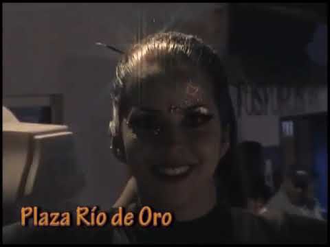 Presencia del tigre en la cultura de Río de oro cesar 