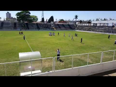 DÍNAMO DE ARAXÁ X FUTGOL - CAMPEONATO MINEIRO 2019/QUARTAS DE FINAL
